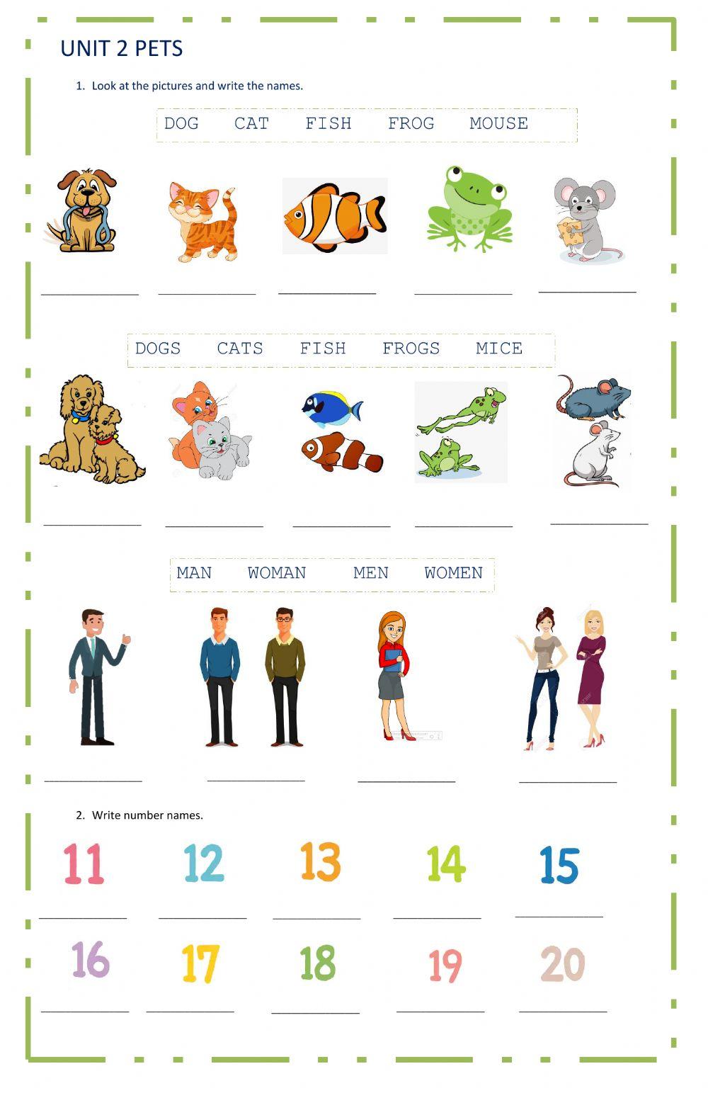 pets-and-numbers-activity-live-worksheets