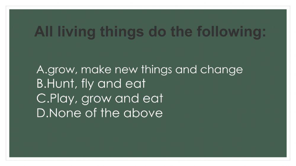 Plants are Living Things