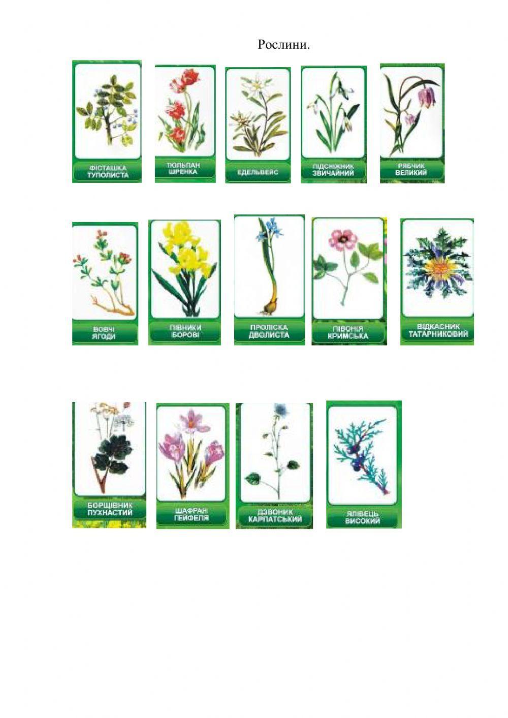 Наша власна Червона книга