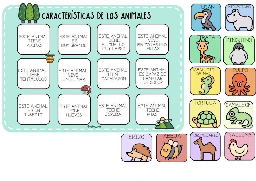 Características animales
