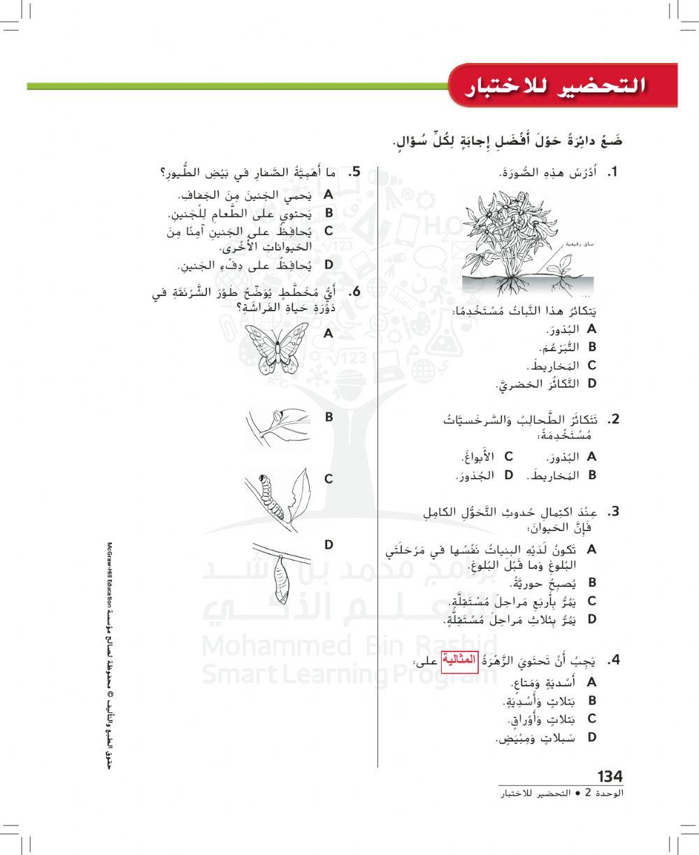 الآباء و الأبناء-التحضير للاختبار- الصف الخامس