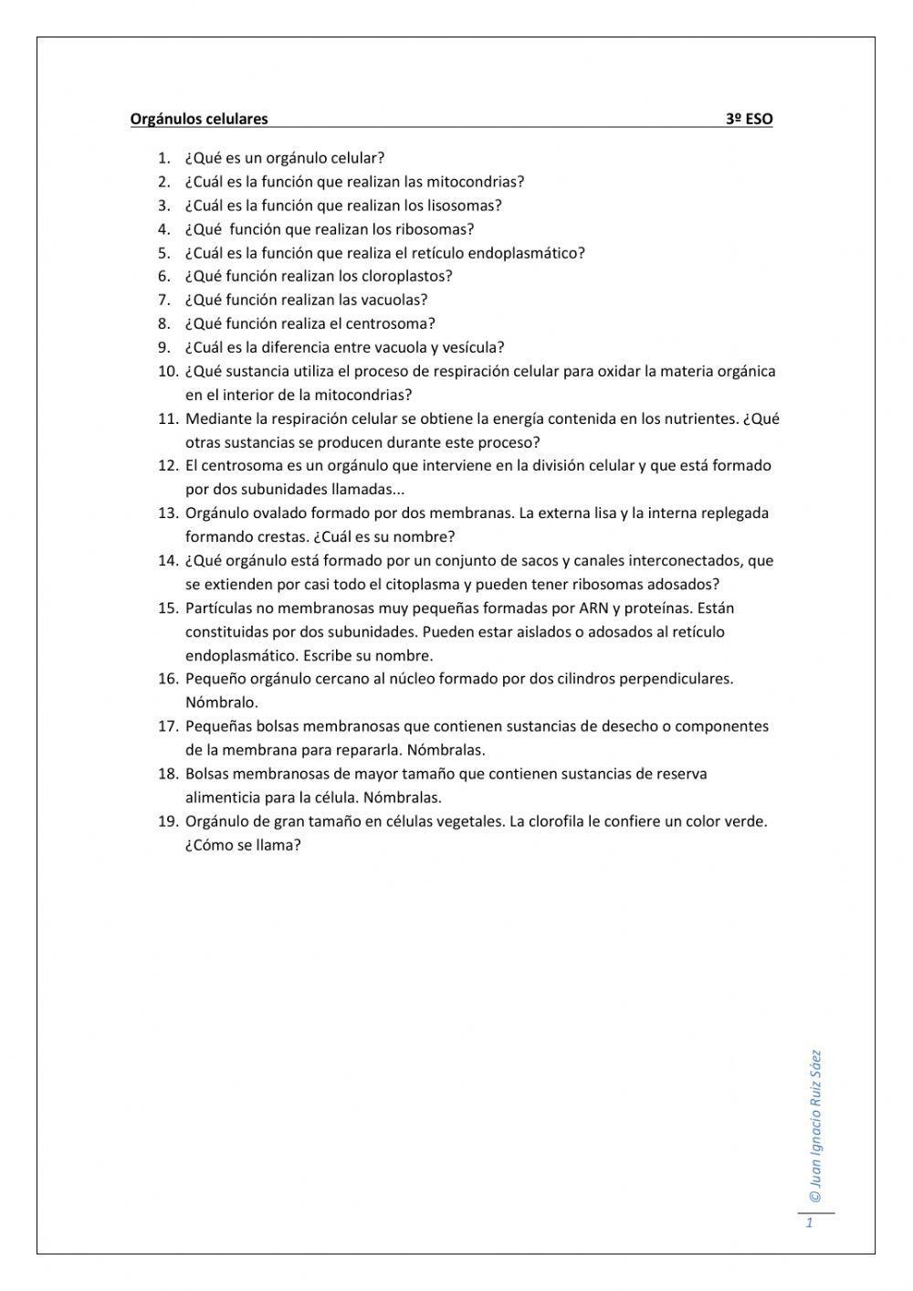 Orgánulos celulares