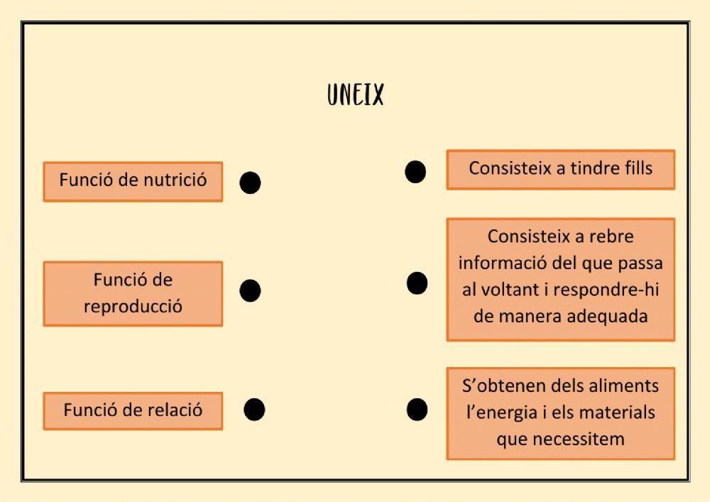 Unir funcions de relació