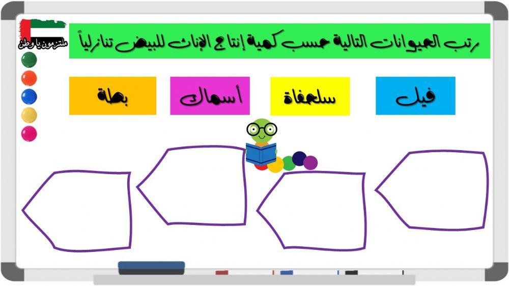 ترتيب بيض الحيوانات - الصف الخامس