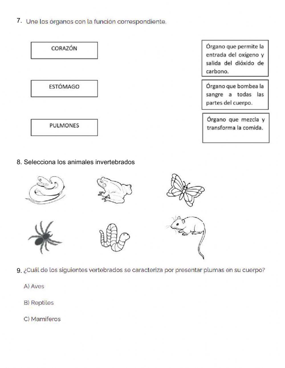 Ejercitacion de ciencias naturales