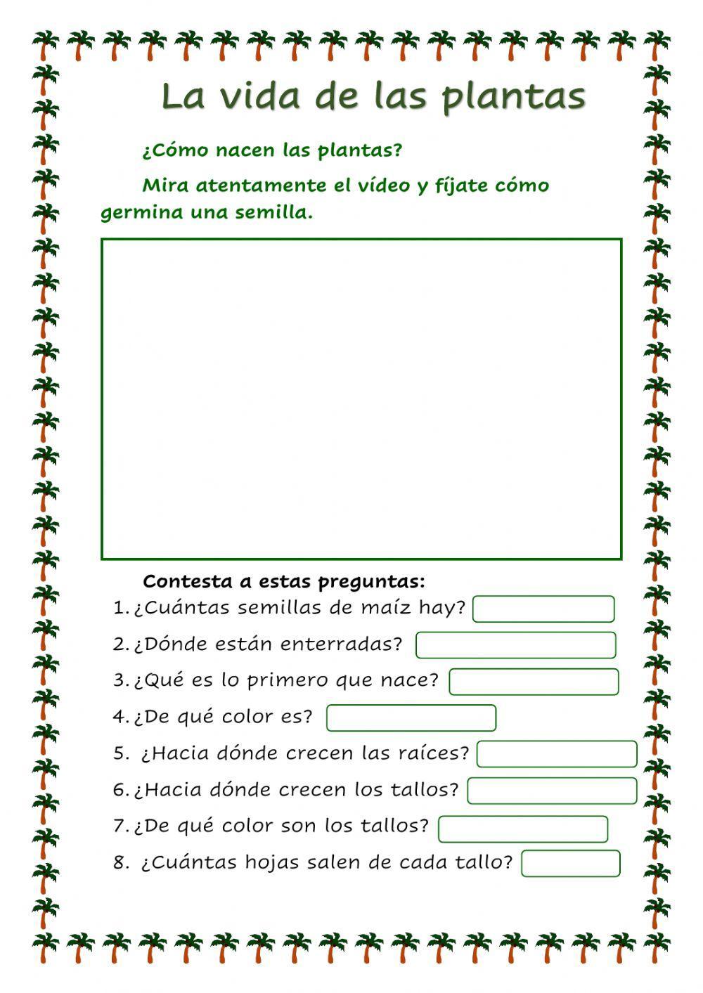 La vida de las plantas