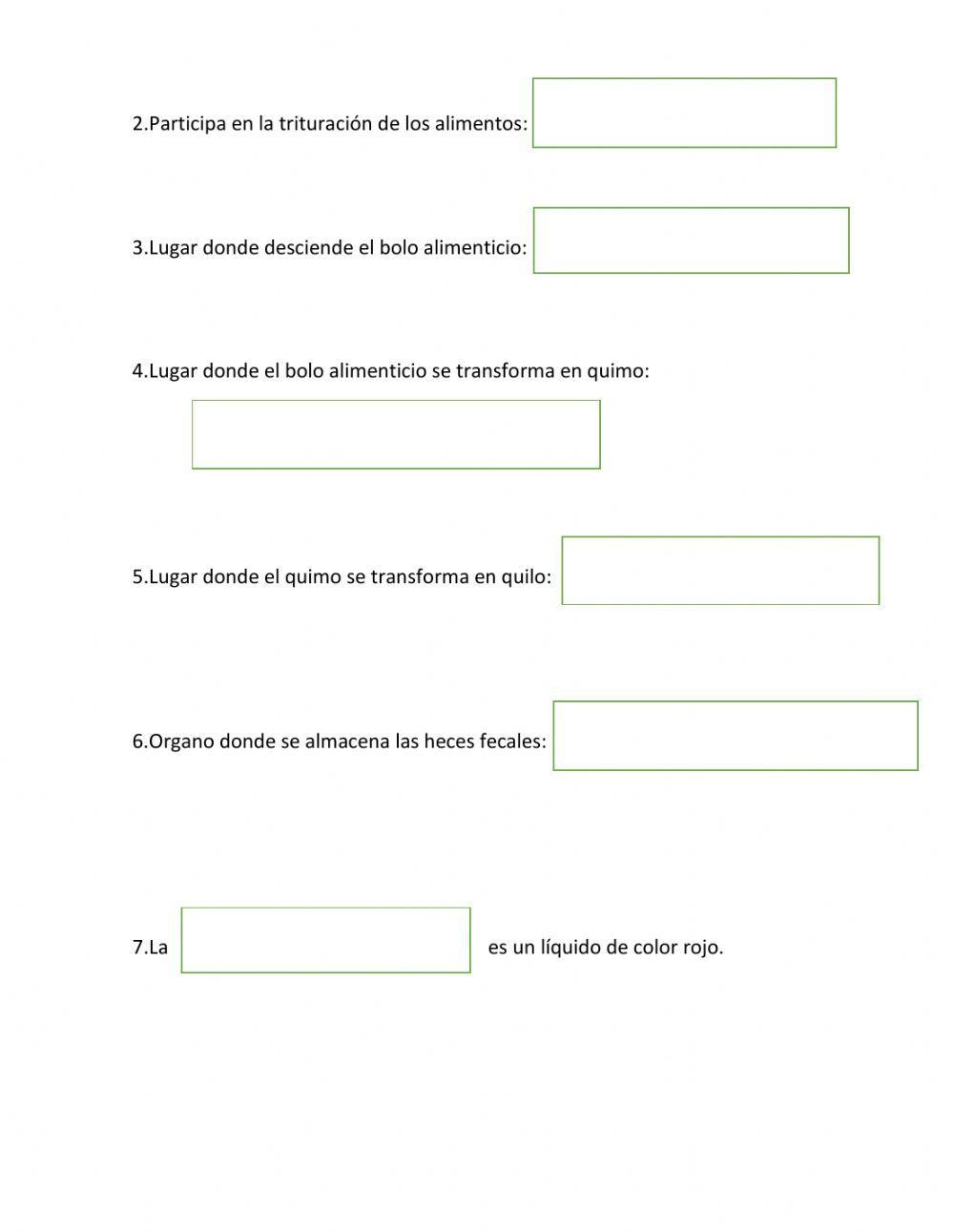 El Sistema Digestivo y Circulatorio