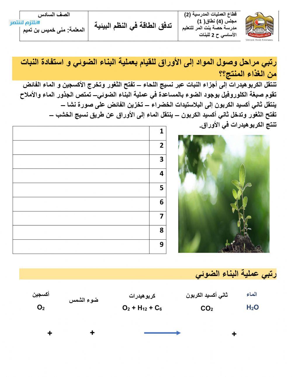 البناء الضوئي2ش