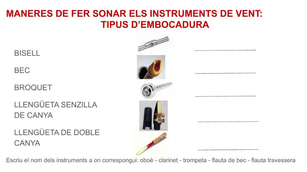 Tipus d'embocadura (instruments de vent)
