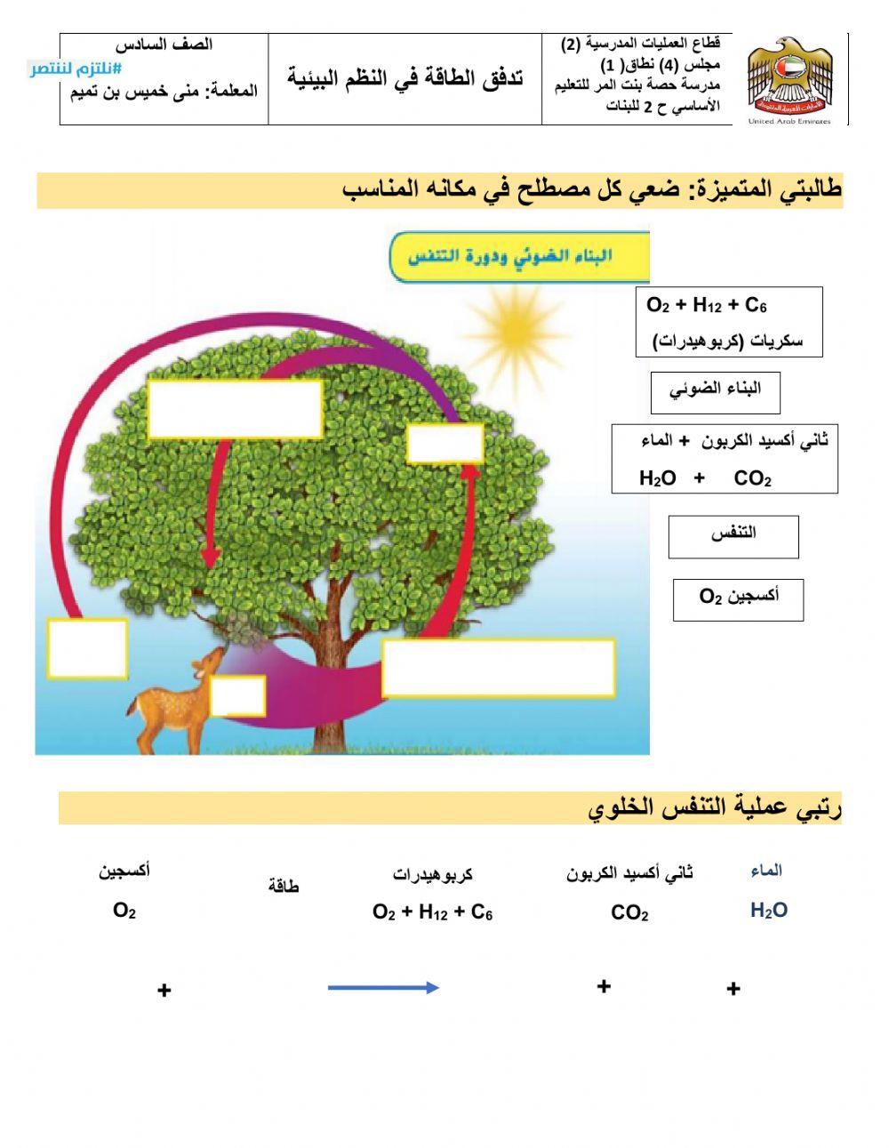 البناء الضوئي ج3