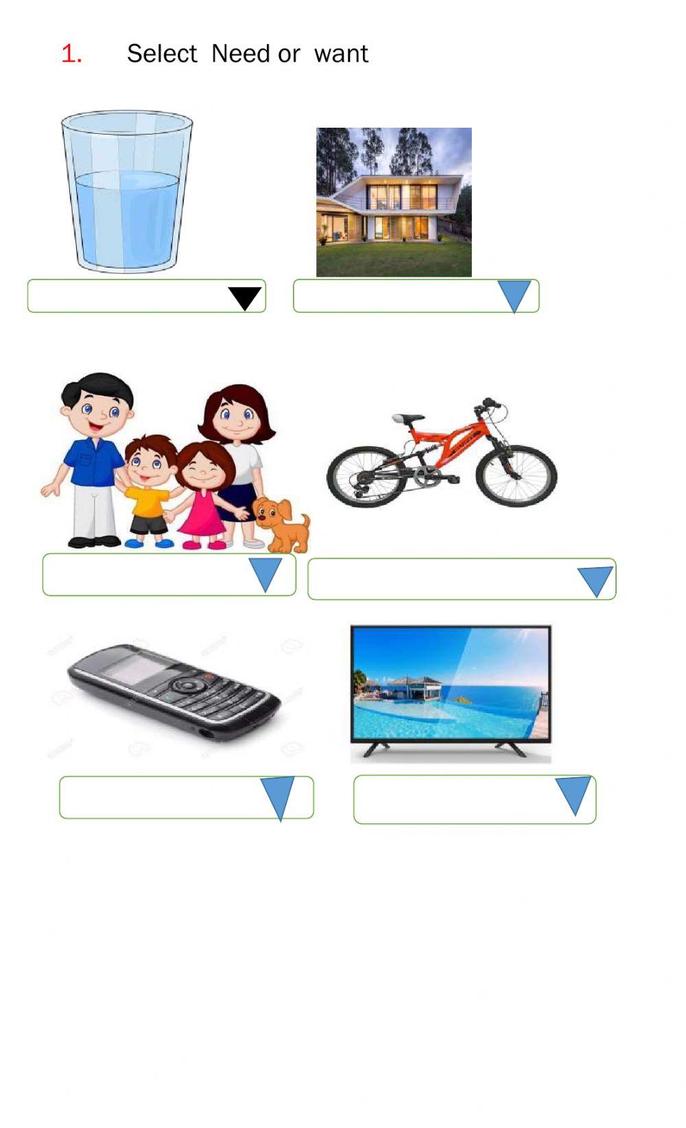 Social studies evaluation