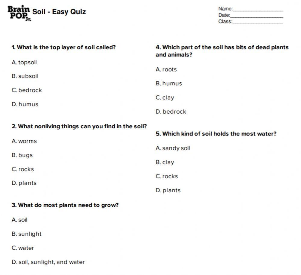 Soil quiz worksheet Live Worksheets