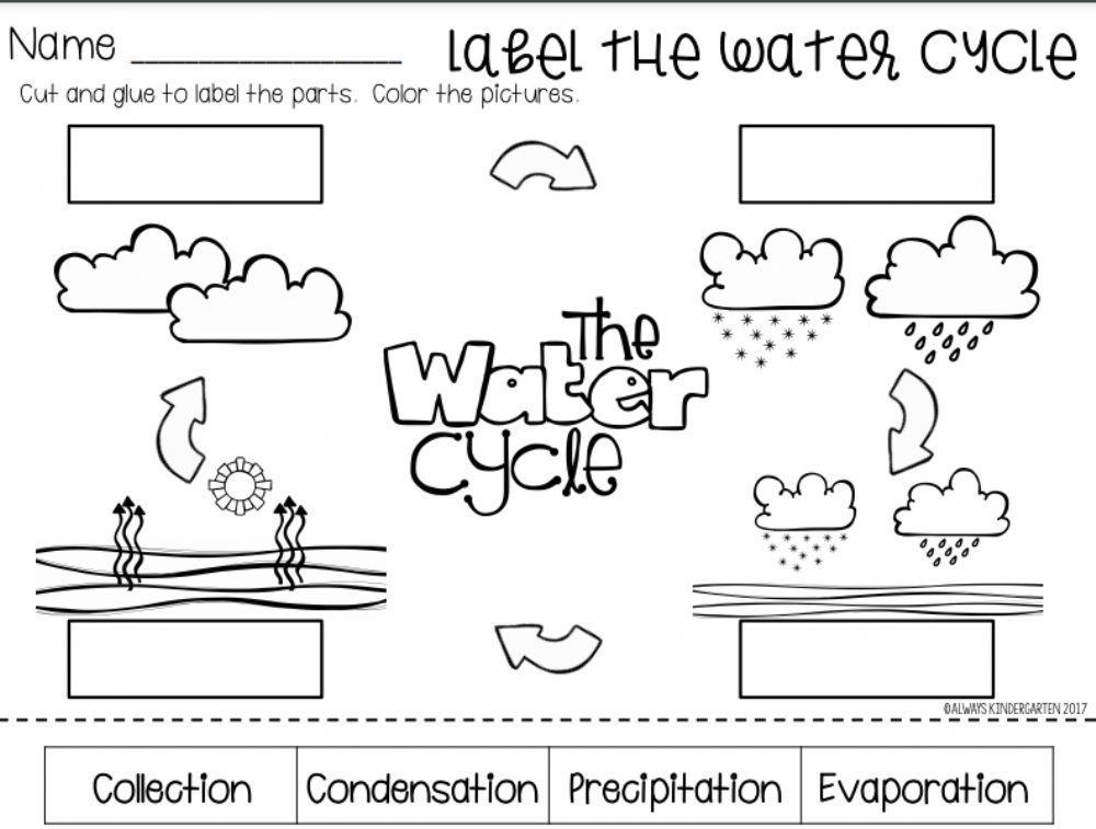 Water cycle review