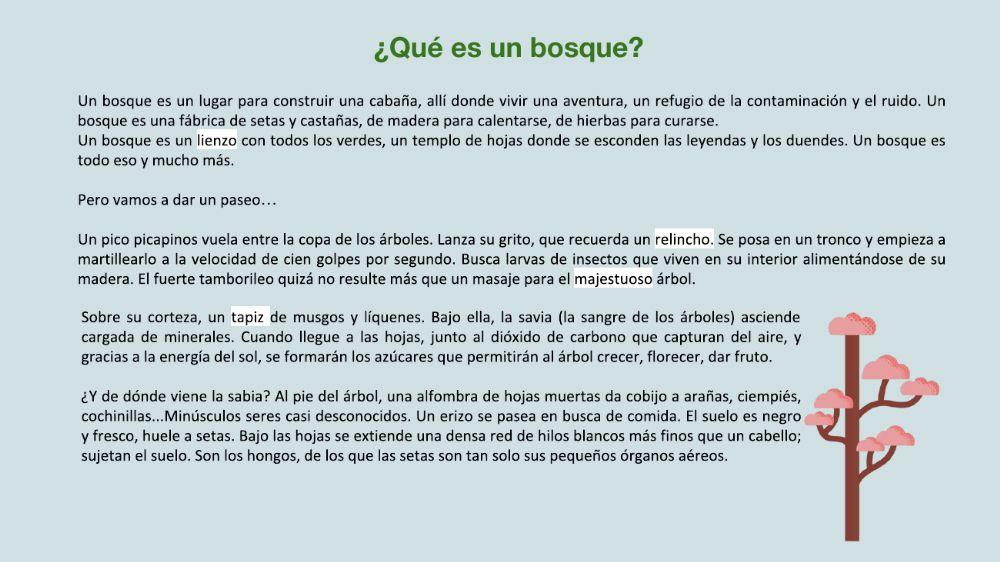 Los bosques