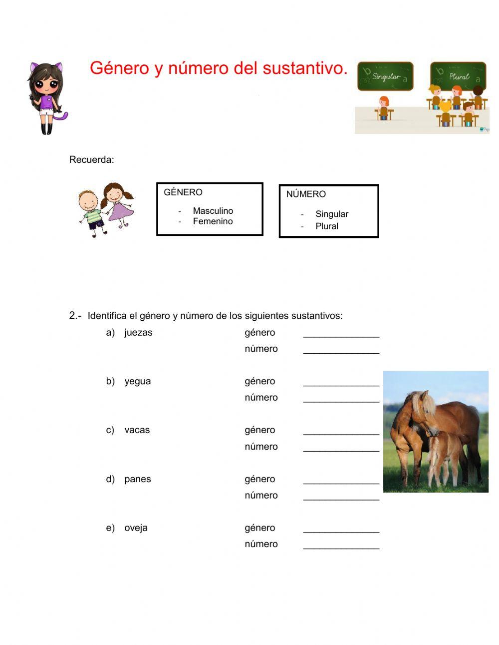 El género y número en el sustantivo.