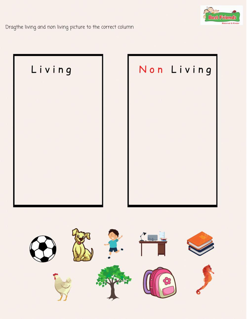 Living non living worksheet live worksheets