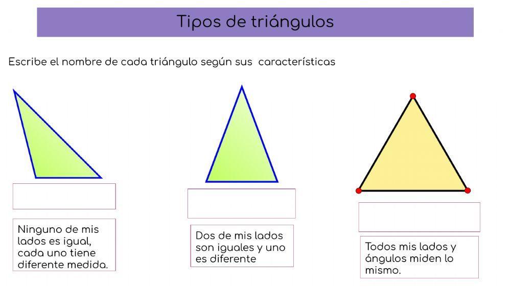 Tipos de triangulos