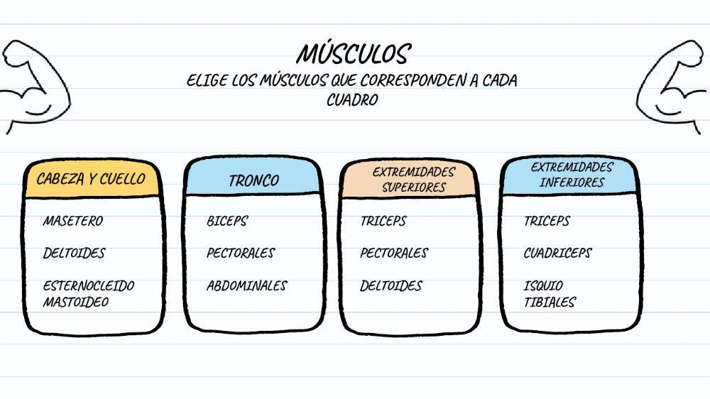 Aparato locomotor 1º eso