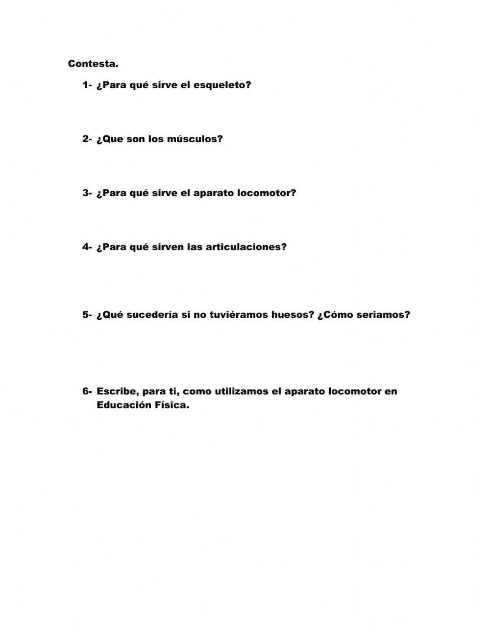 El sistema Locomotor