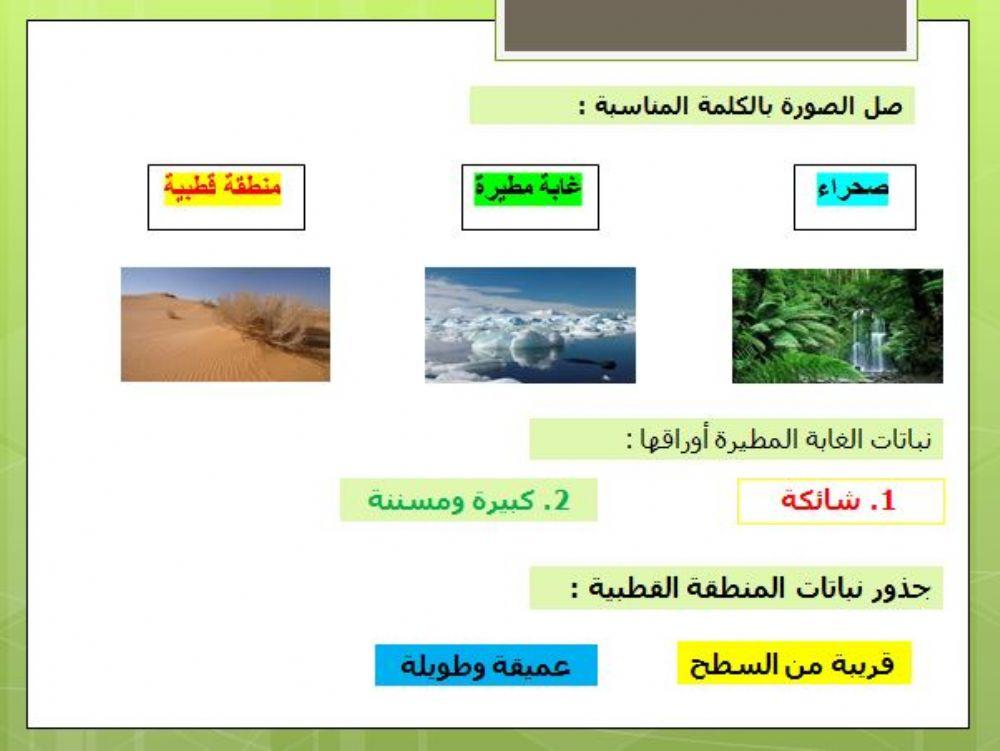 النباتات تعيش في أماكن مختلفة