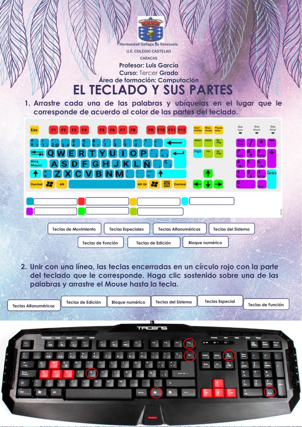 Partes del teclado