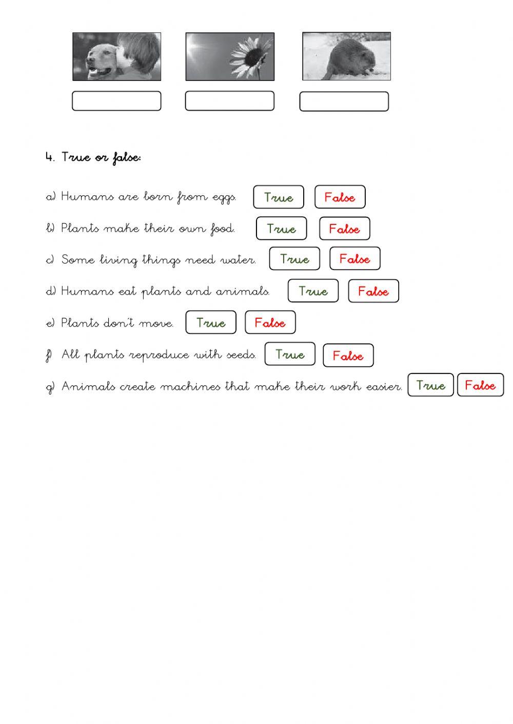 Living things and life processes