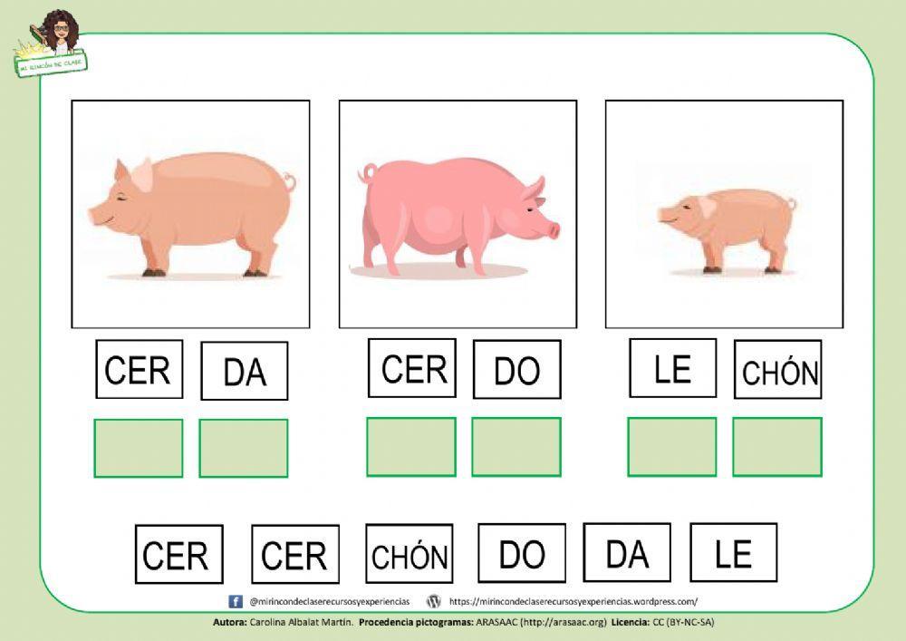 CERDA, CERDO y LECHÓN