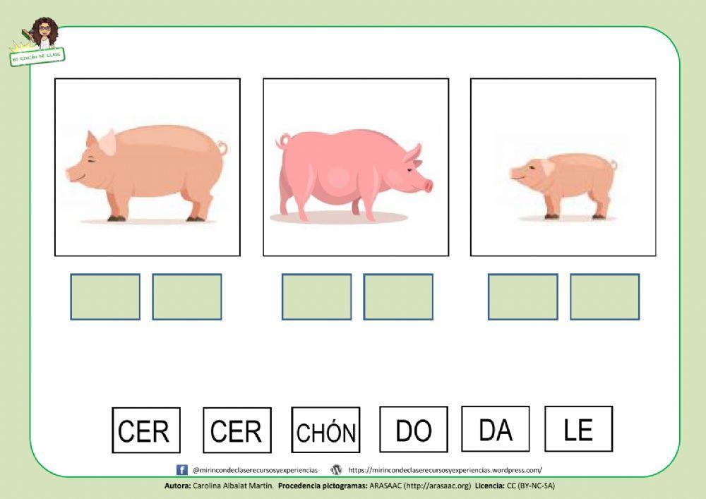 CERDA, CERDO y LECHÓN