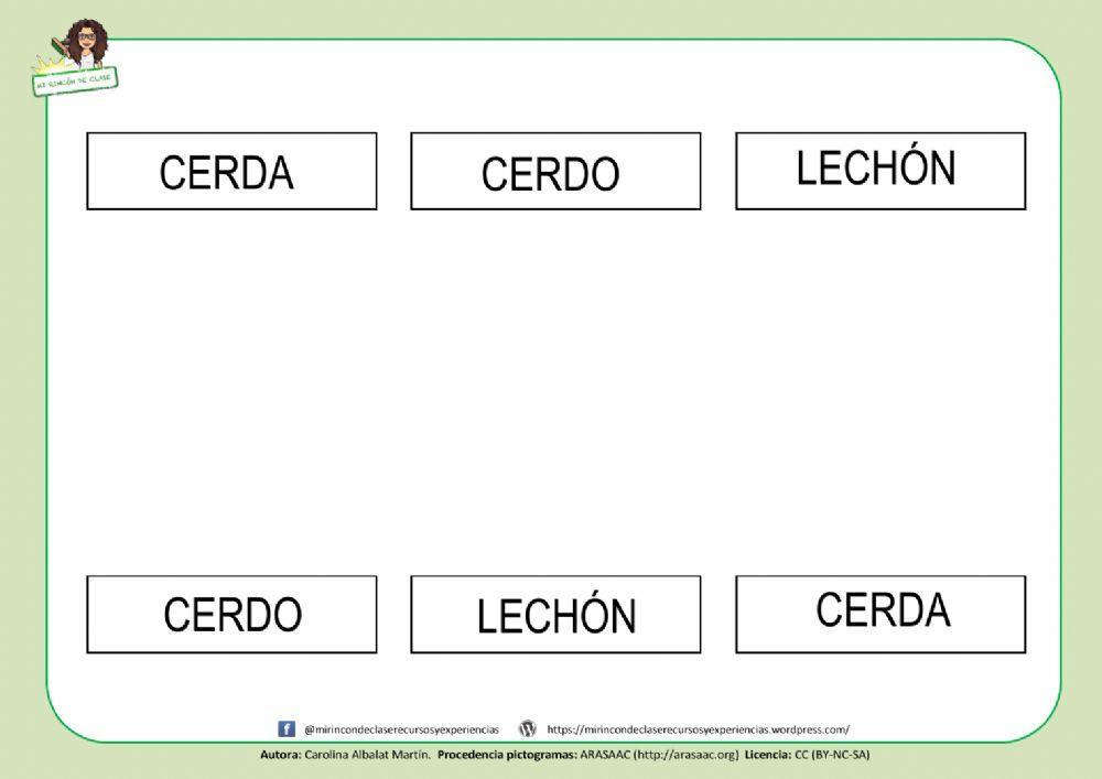 CERDA, CERDO y LECHÓN