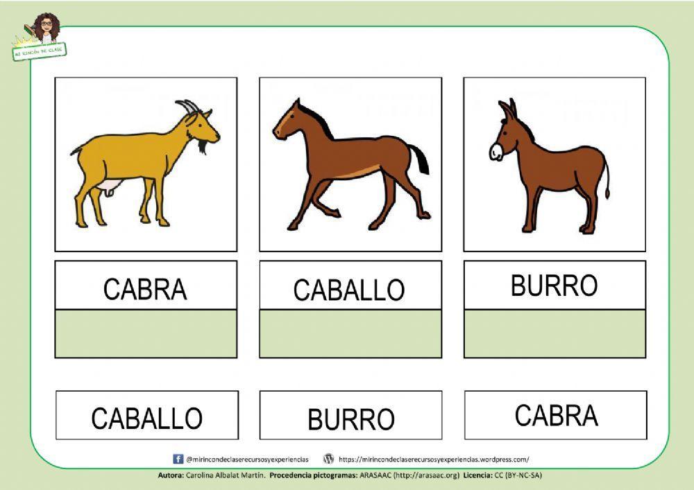 CABRA, CABALLO y BURRO