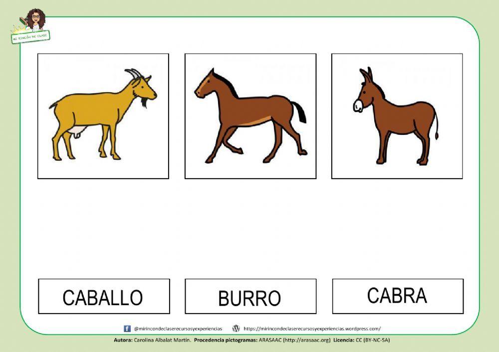 CABRA, CABALLO y BURRO