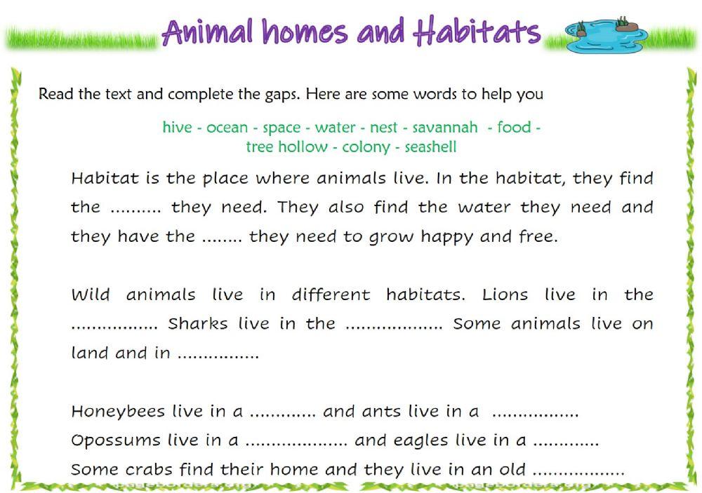 Animal Homes and Habitats