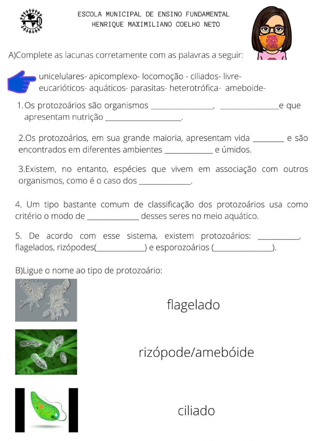 Protozoários