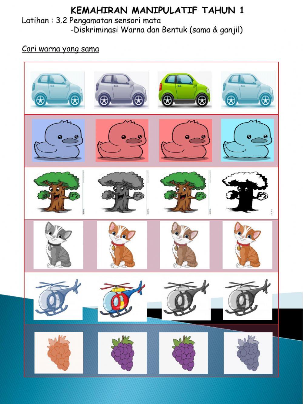 3. Pengamatan Penglihatan (Mata)