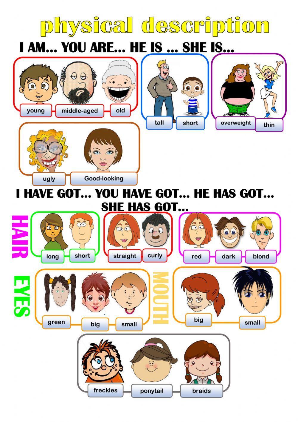 Physical description