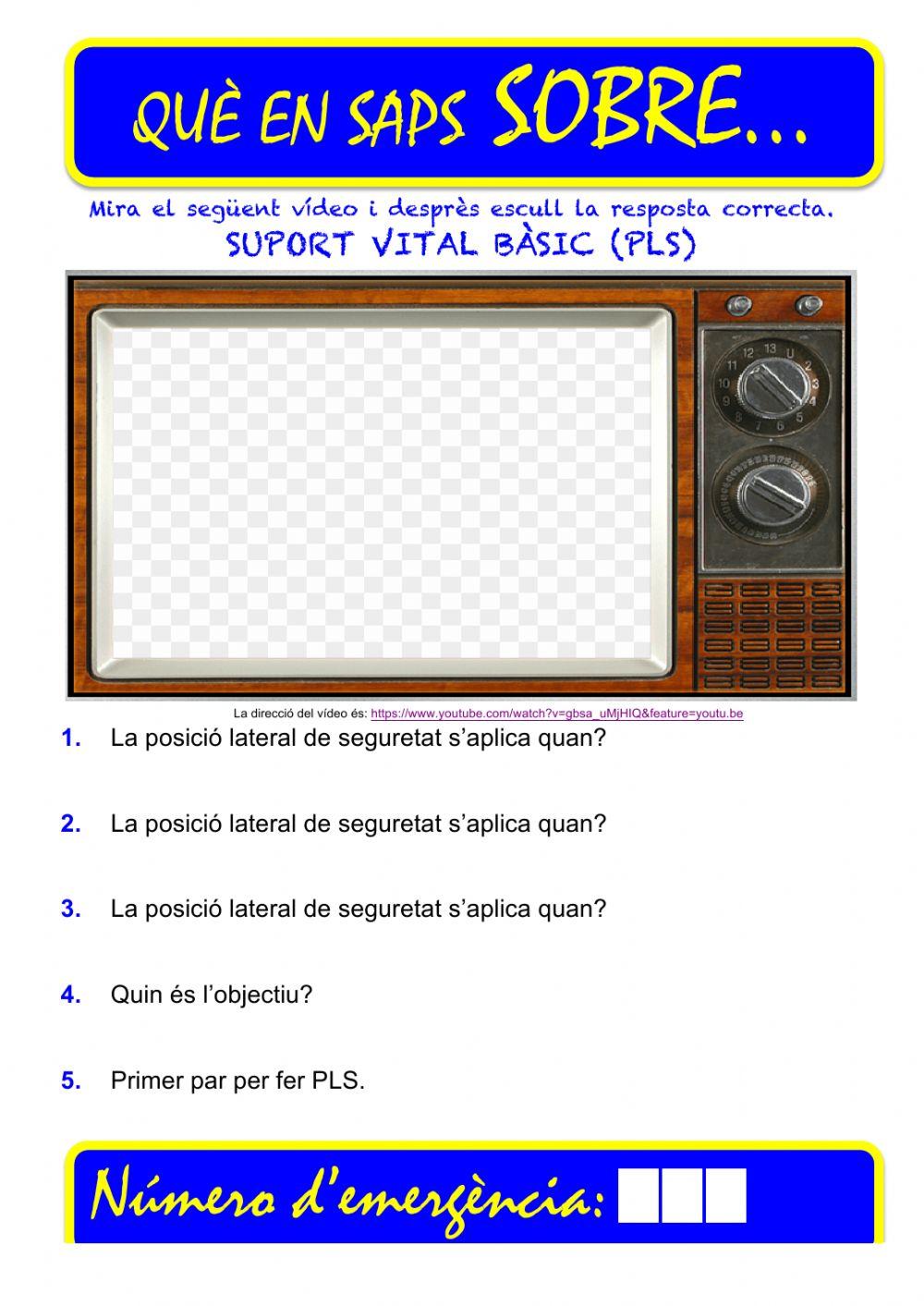 Que saps sobre...SVB CS 05