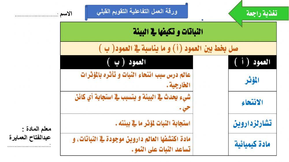 ورقة عمل استجابة النبات
