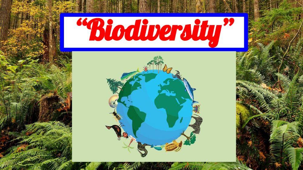 Biodiverisity