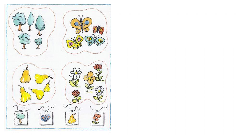 Categorizzare insiemi