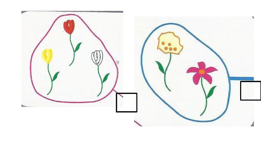 Categorizzare insiemi