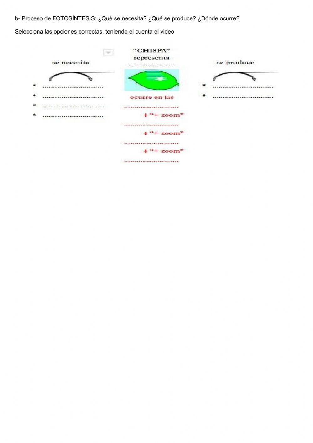 Nutrición en plantas 1