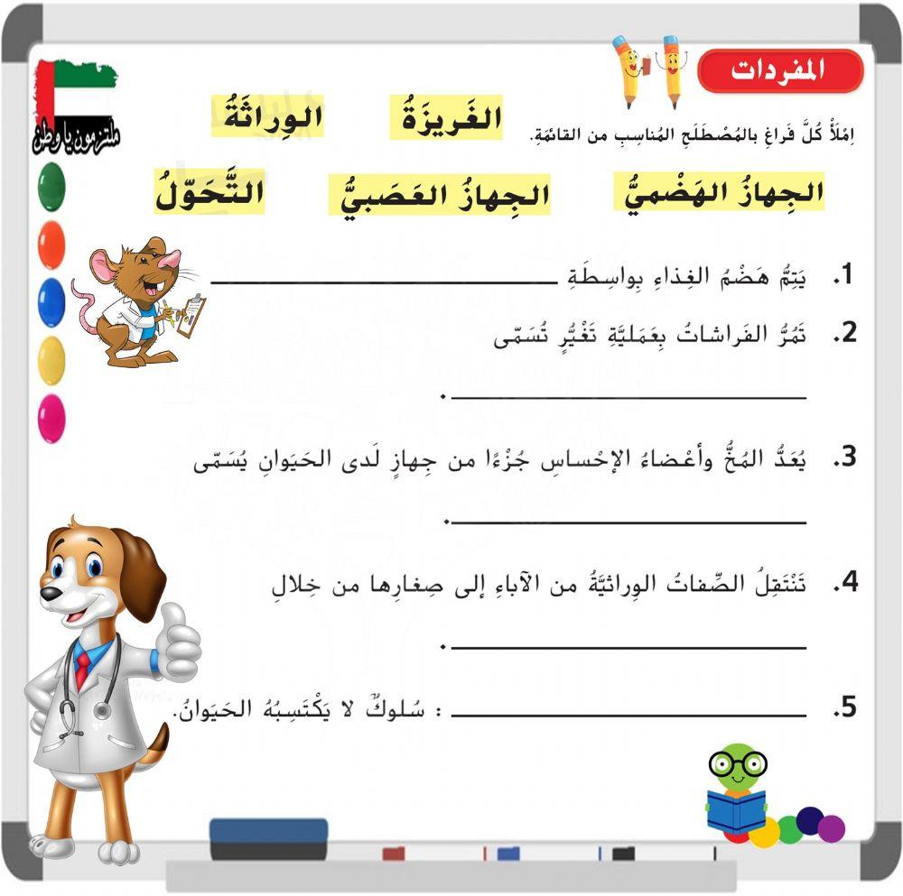 مفردات وحدة مملكة الحيوان - الصف الرابع