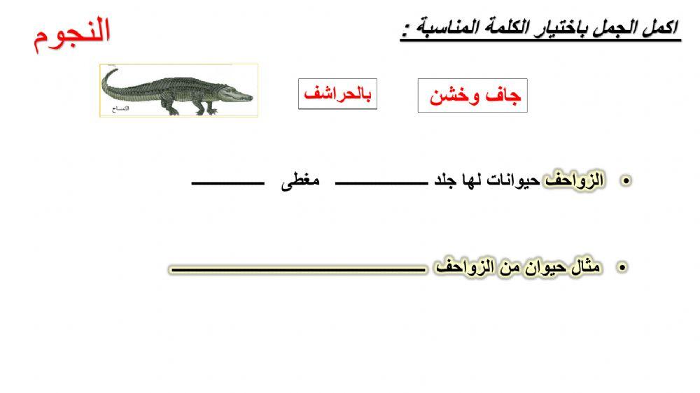 اختر الكلمة المناسبة