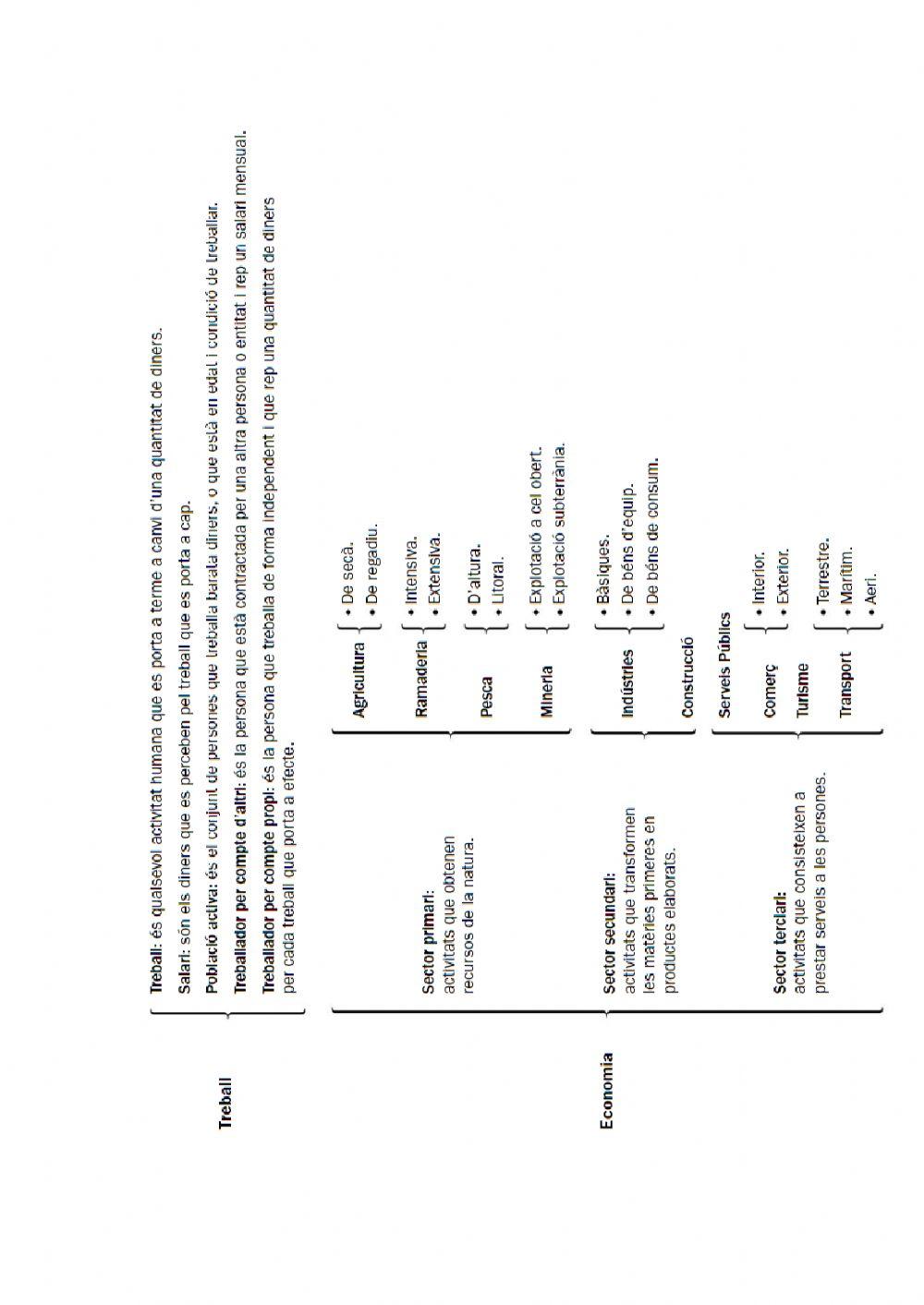 Els sectors econòmics