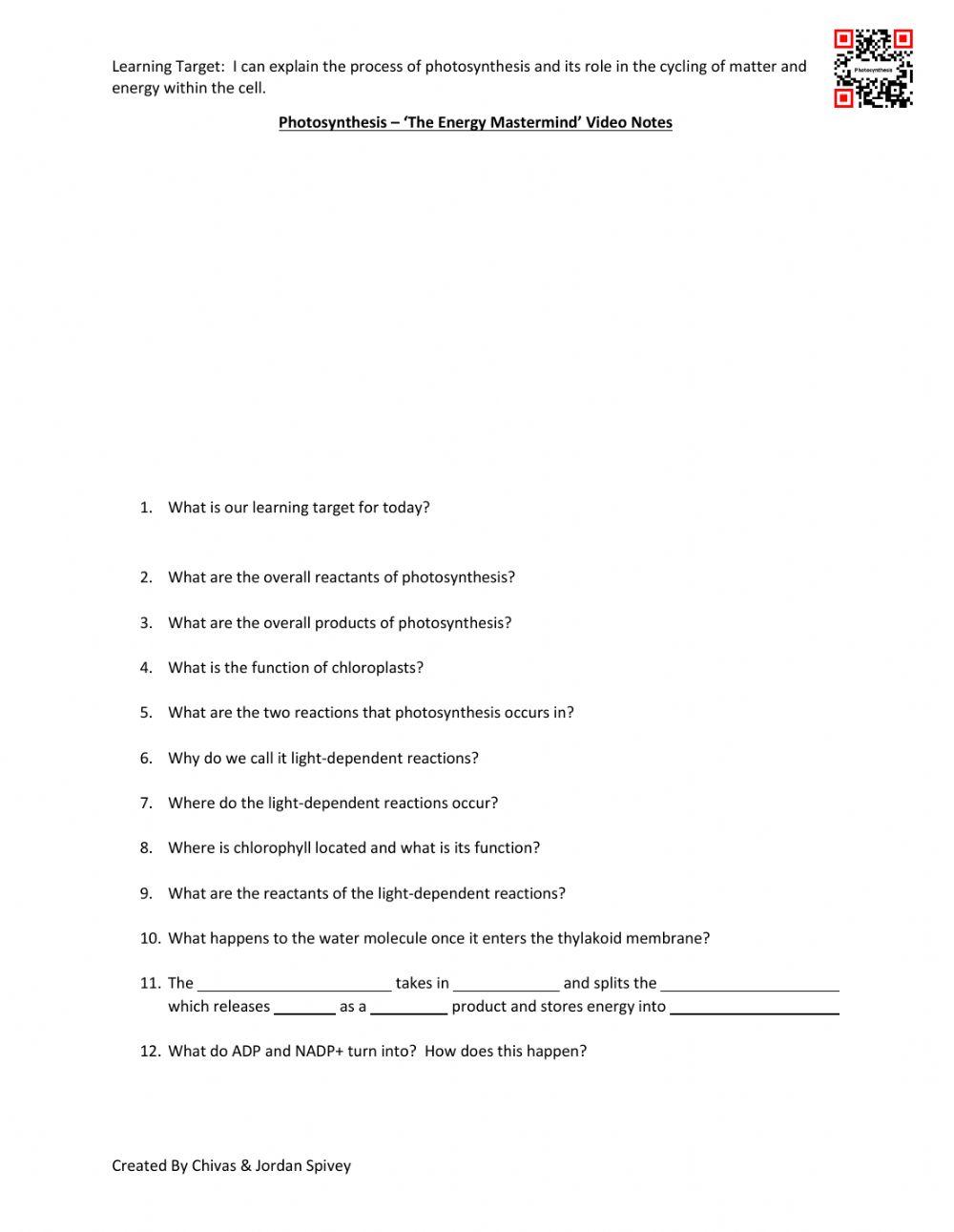 Photosynthesis - 'The Energy Mastermind'