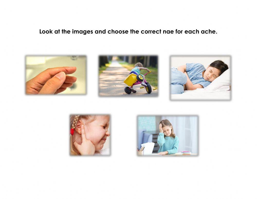 Vocabulary list -9 - Spelling