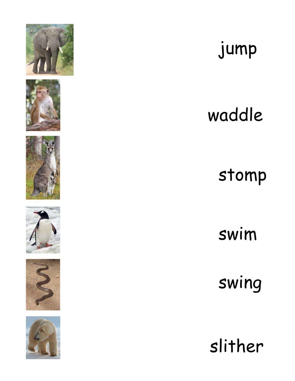 Animals and what they do