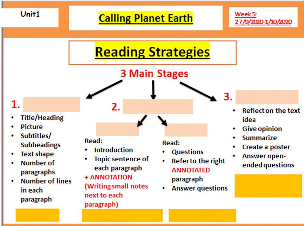 Reading strategies 