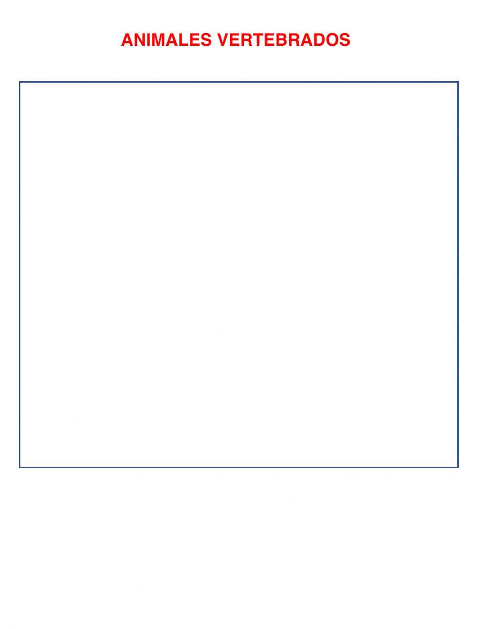 Animales Vertebrados