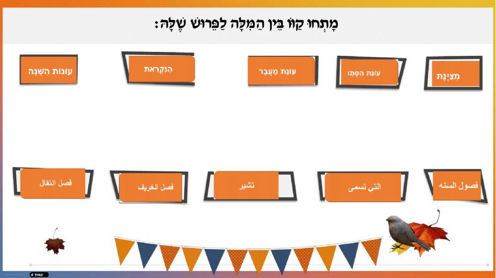 שורה 1+2 עונת הסתיו